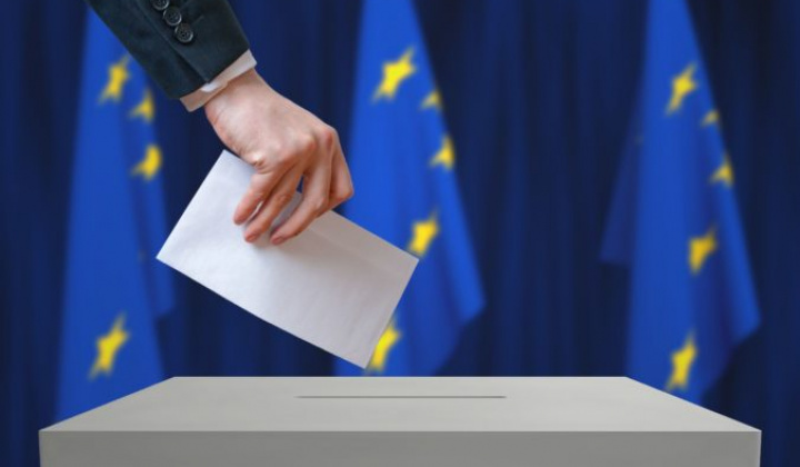 Fotka -  Voľby do Európskeho parlamentu - Informácie pre voliča